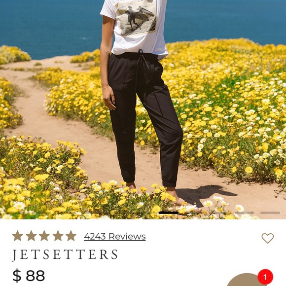 Albion Fit Jetsetter Pant 
SZ Small - Picture 7 of 12